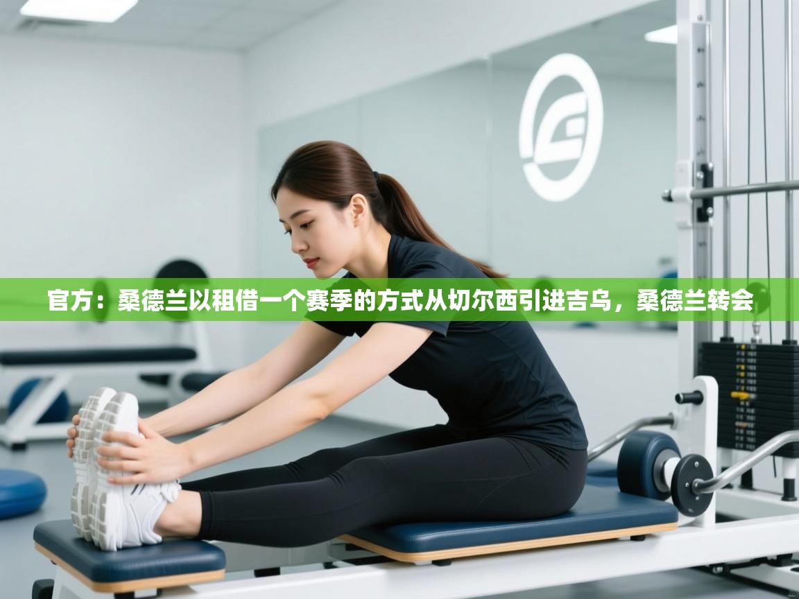 官方:桑德兰以租借一个赛季的方式从切尔西引进吉乌,桑德兰转会