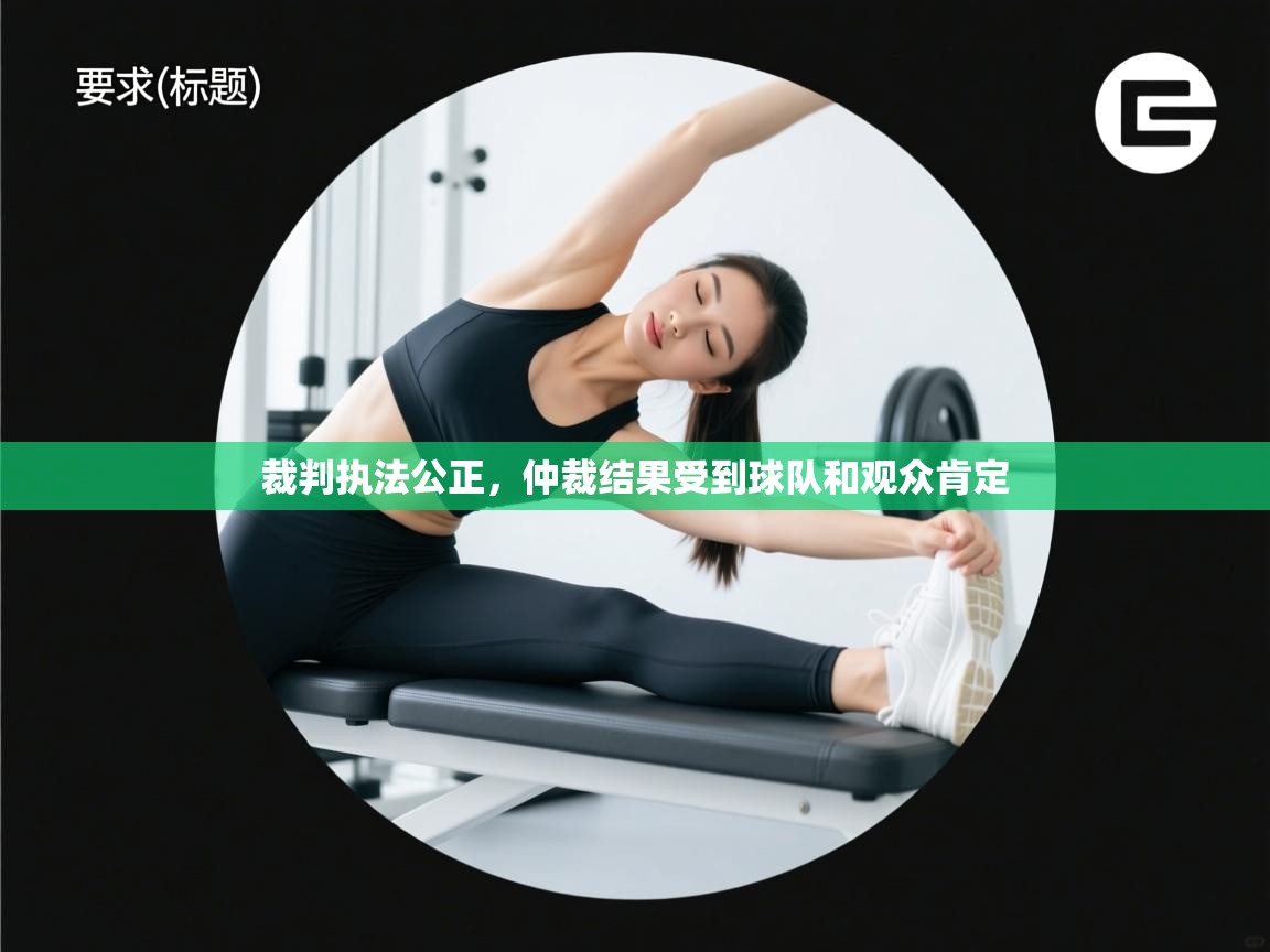 裁判执法公正，仲裁结果受到球队和观众肯定  第1张