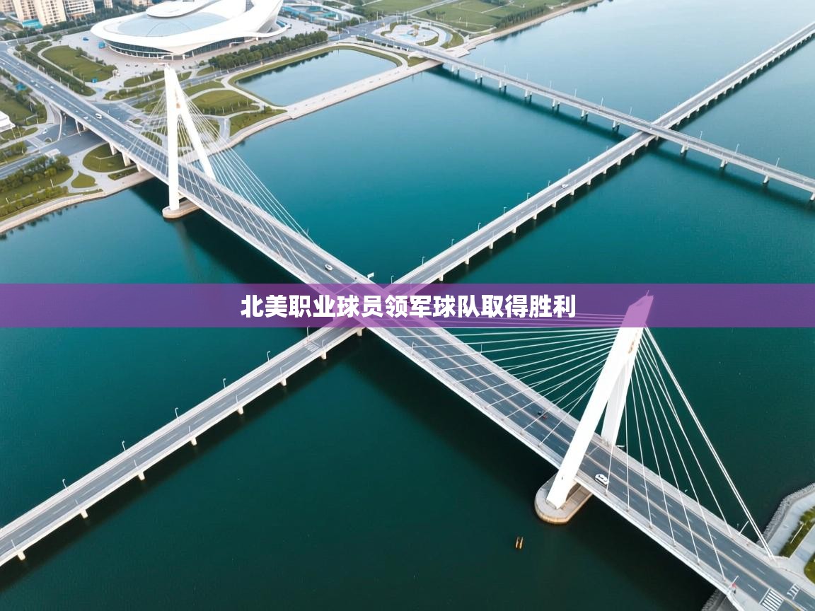 北美职业球员领军球队取得胜利