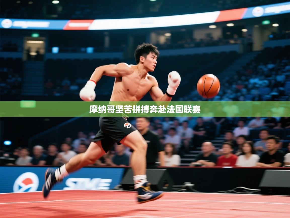 摩纳哥坚苦拼搏奔赴法国联赛 第2张