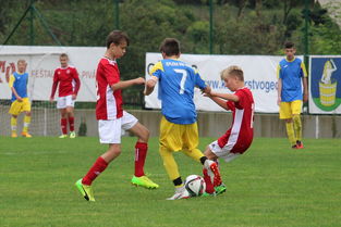 开云体育下摘-塔斯马尼亚联新援首秀引期待，世俱杯表现备受关注